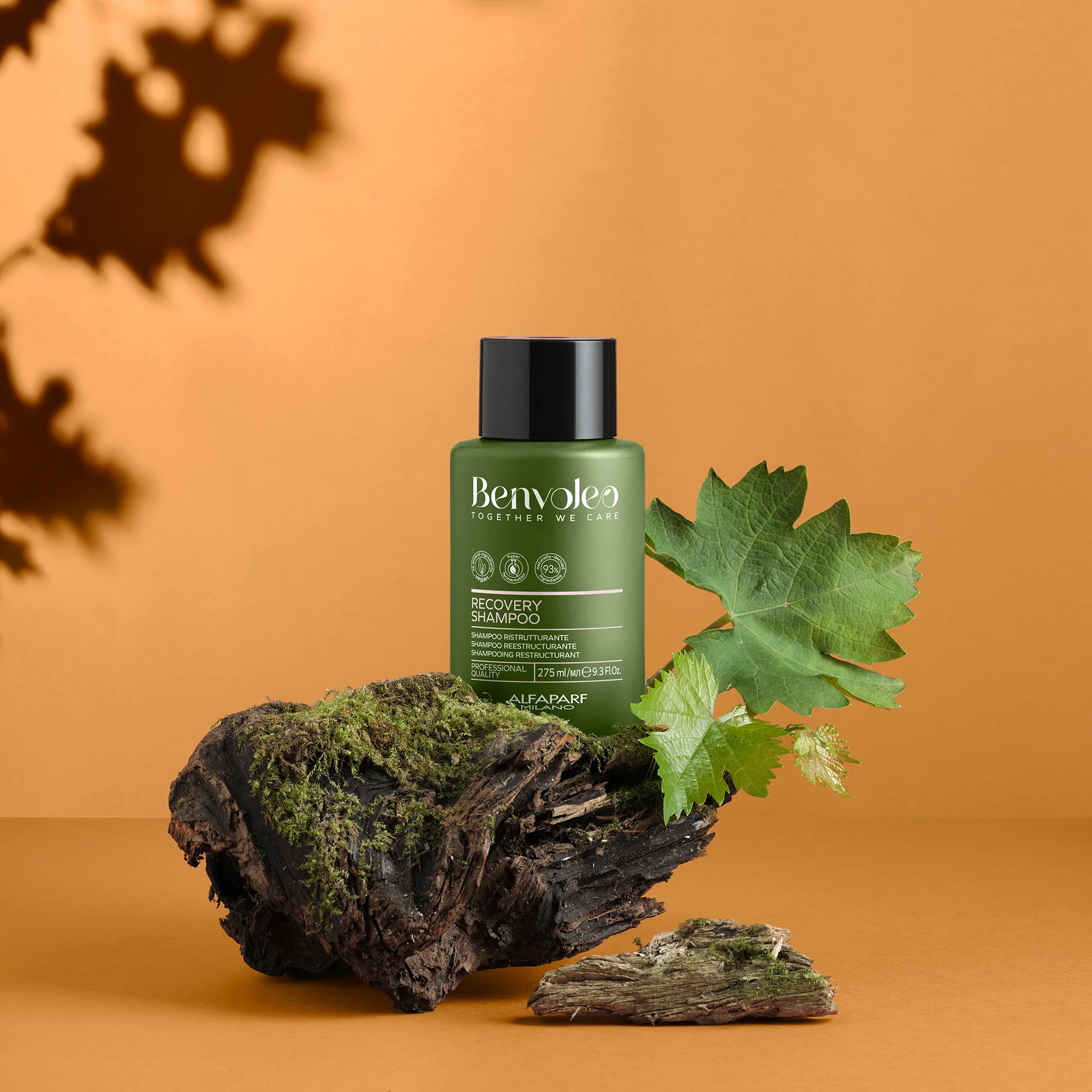 Benvoleo Recovery Shampoo - Image 6