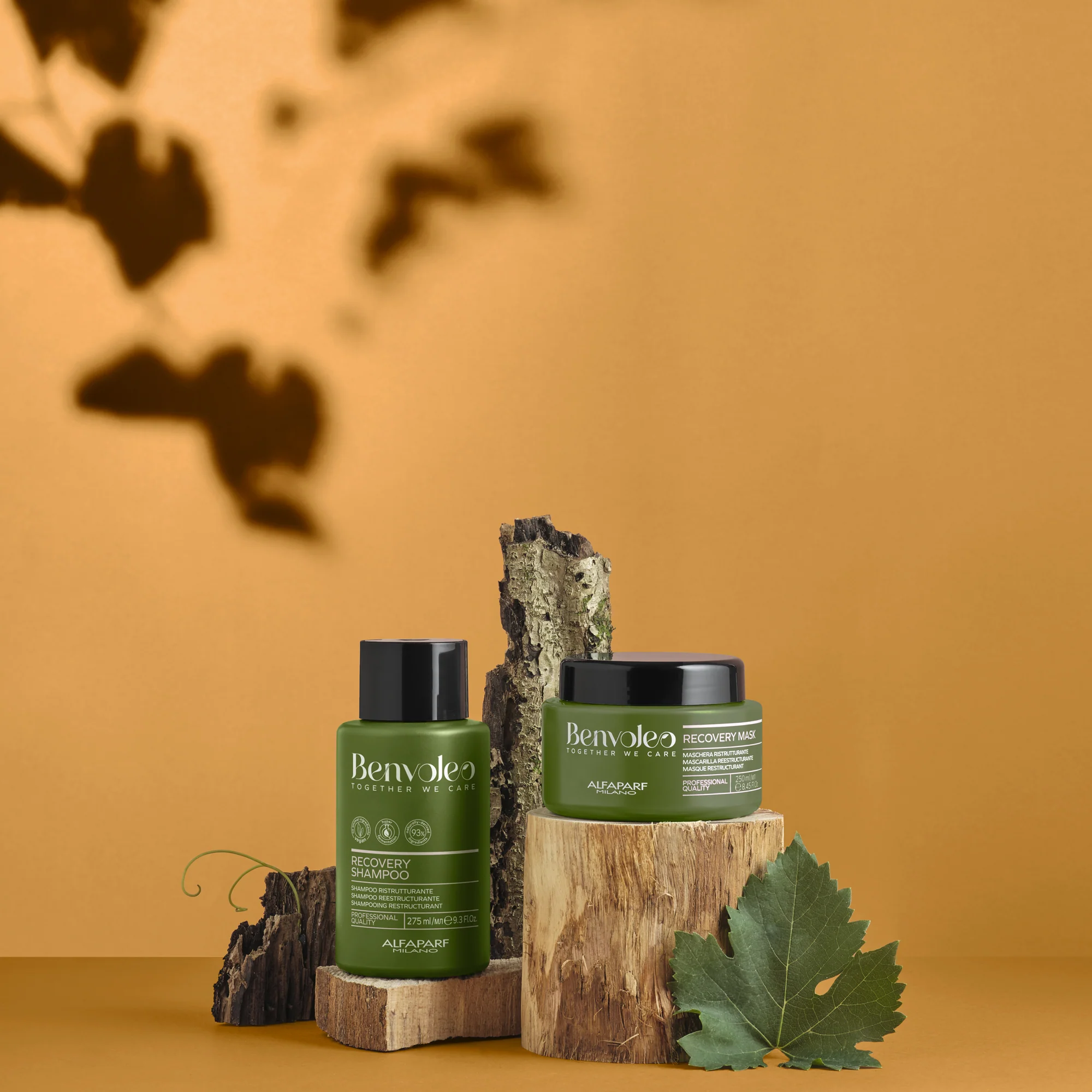 Benvoleo Recovery Shampoo - Image 9